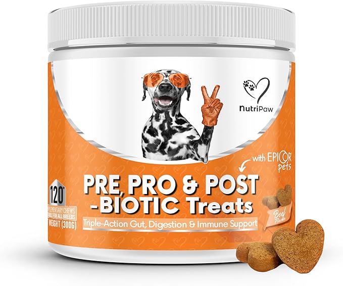 NutriPaw Digestive Probiotic Treats for Dogs – Advanced Gut Health Support with Pre, Pro & Postbiotics – Relief for Sensitive Tummies, Diarrhea, Scooting & Smelly Ears