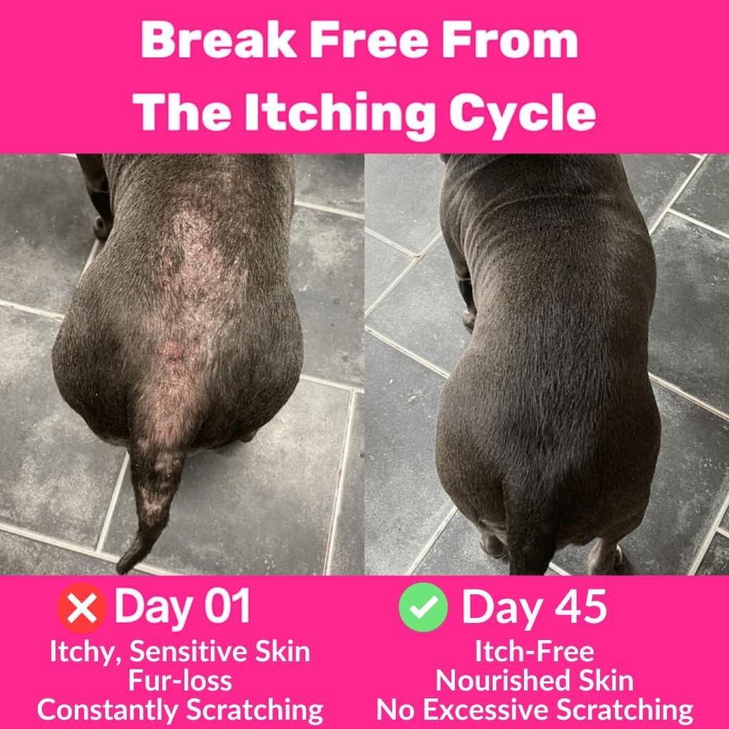 NutriPaw All-Itch Immunity Treats For Dogs - Soothe Itchy Paws, Eyes, Ears, Skin - Stop Itching, Licking, Scratching - Perfect for Small, Medium & Large Dogs - Supports Seasonal Itching