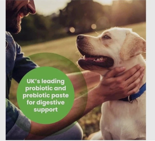 Protexin pet health Pro-Kolin for Dogs and Cats Probiotic Paste and Syringe  60ml